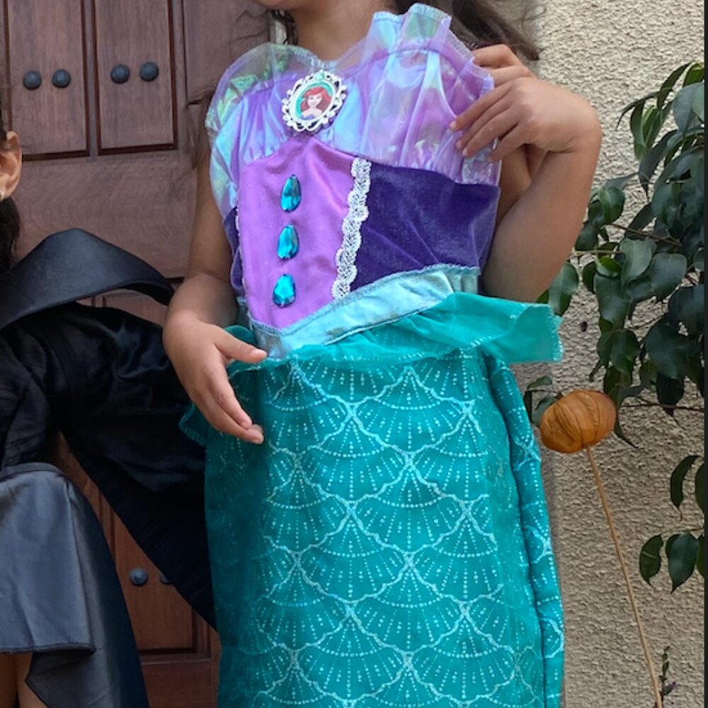 THe LIttle Mermaid costume